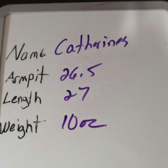 Catherines Shirt Ladies 2x Blue White Striped Short Sleeve - Picture 6 of 6